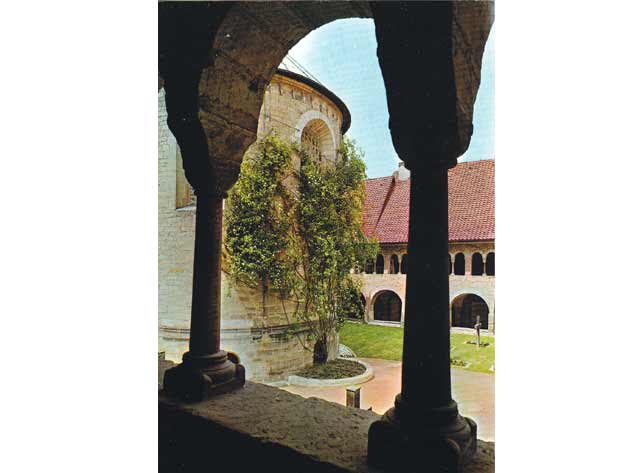 Der Tausendjährige Rosenstock im Hildesheimer Dom vom Kreuzgang aus gesehen