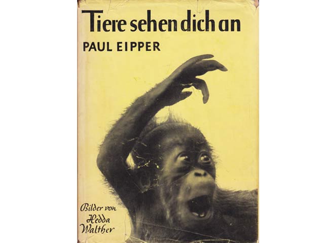 Paul Eipper: Tiere sehen dich an. Neue Ausgabe. Mit 32 Bildnisstudien nach Originalaufnahmen von Hedda Walther. 1936